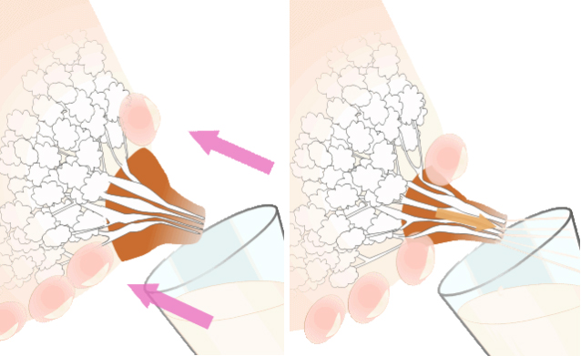 Comment exprimer le lait maternel avec vos mains