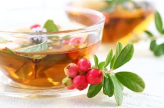 thés pour la lactation