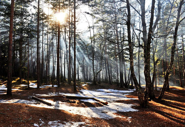 augmenter le tonus au printemps